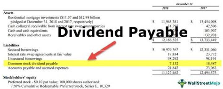 Are cash dividends declared a liability?