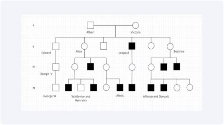 Can a spouse sue for inheritance?