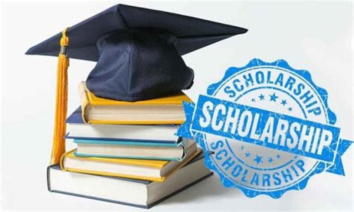 Can a student get scholarship?