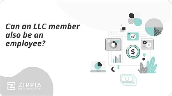Can an LLC member be a company?
