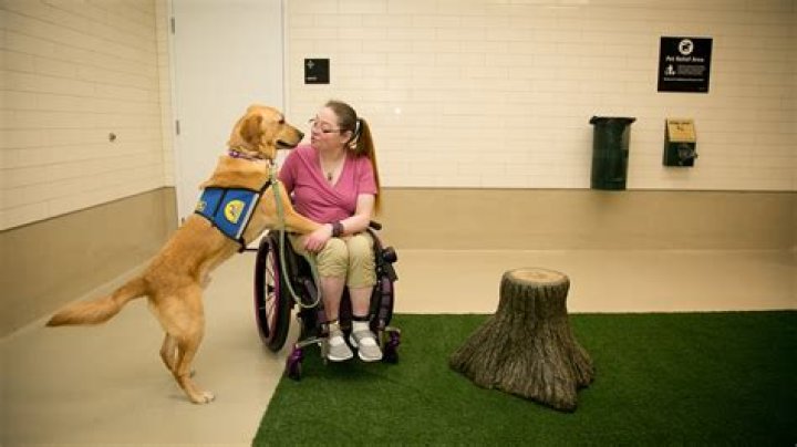 Can I bring my non EU spouse to Ireland?