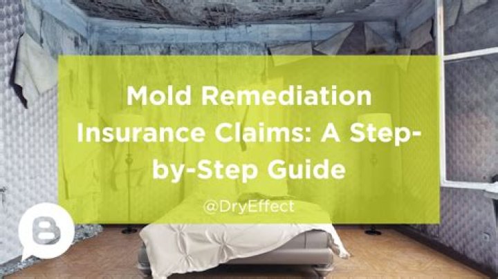 Can I claim mold remediation on taxes?