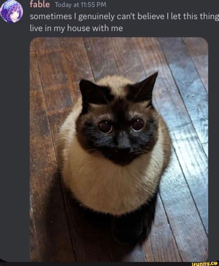 Can I let someone else live in my house?