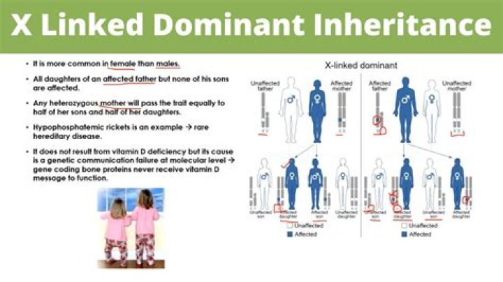 Can inheritance be executors?