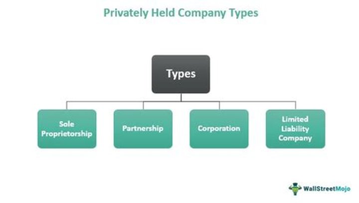 Can privately owned companies have stock?
