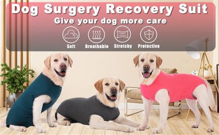 Can recovery suit be filed after 3 years?