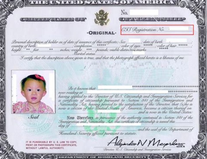 Can US naturalized citizen sponsor family members?