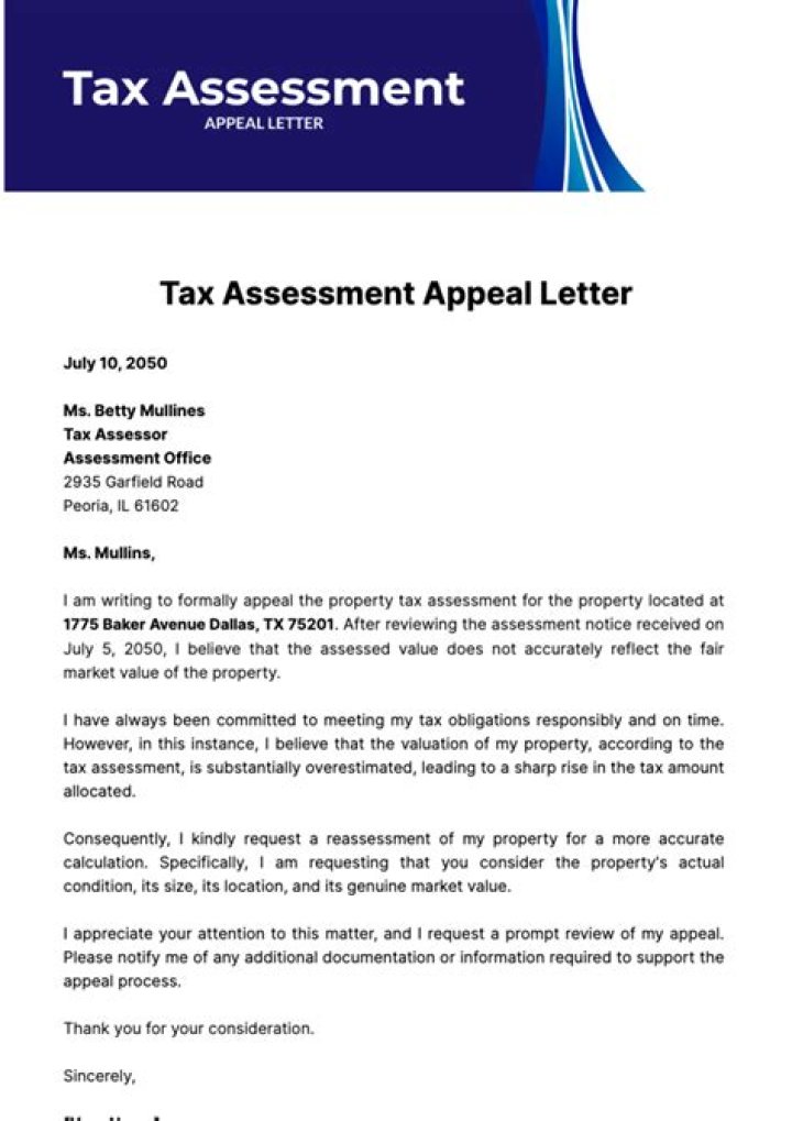 Can you appeal tax audit?