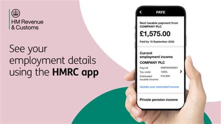 Can you ask HMRC for advice?