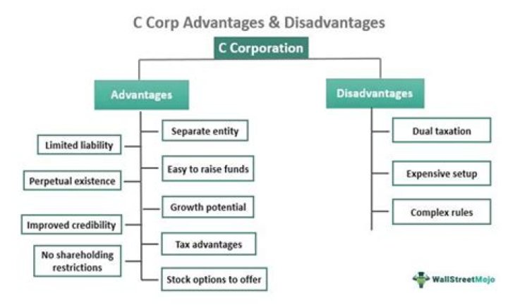 Can you be both S corp and LLC?