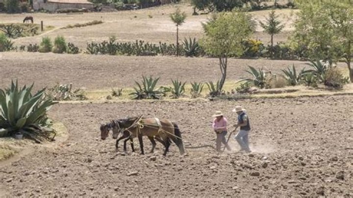 Can you buy ejido land in Mexico?