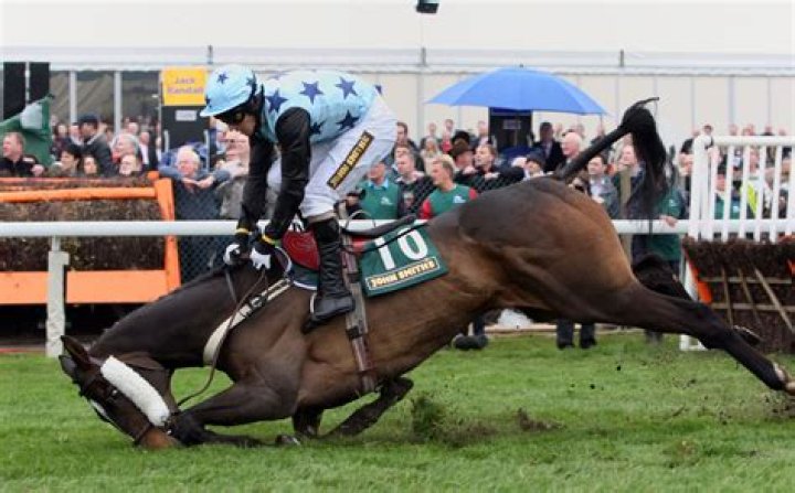 Can you claim a racehorse on tax?