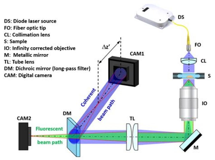 Can you tell if something has been copied and pasted?