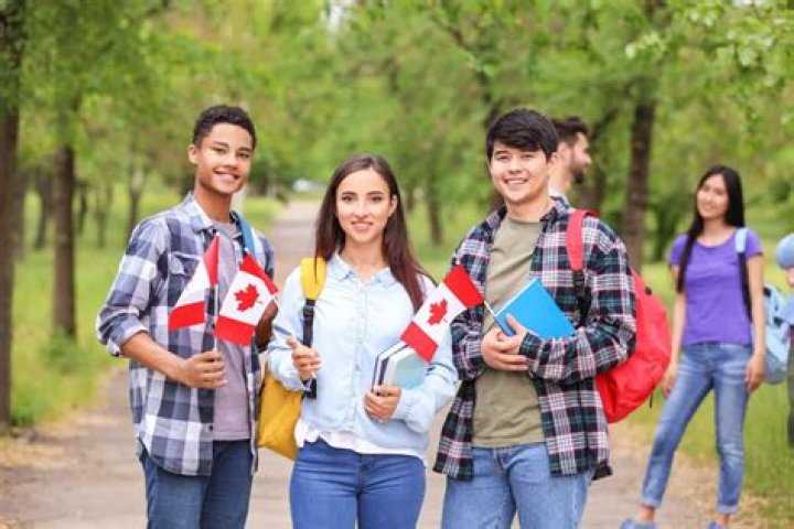 Do Canadian students need F-1?