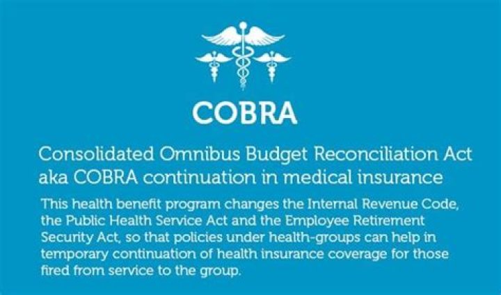 Do COBRA payments count as medical expenses?