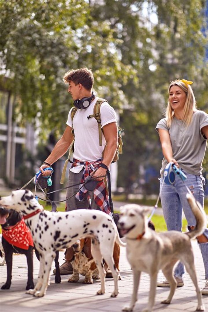 Do dog walkers get paid in cash?