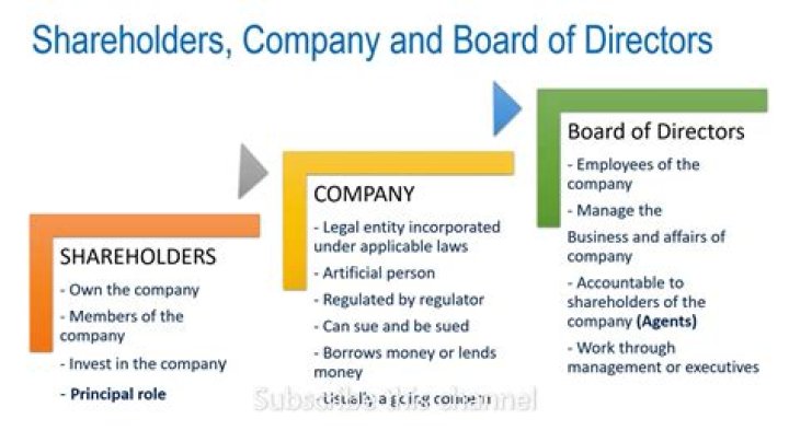 Do for profit companies have board of directors?