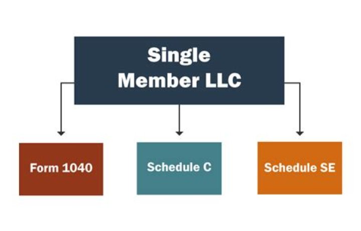 Do single-member LLC pay state taxes?