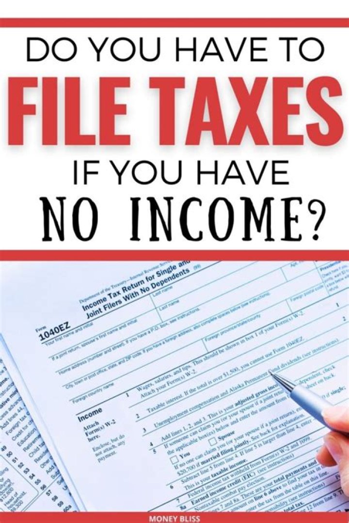 Do you have to file tax return if you have no income?