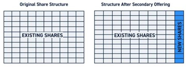 Does a company file a 1040?