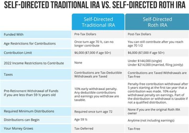 Does a self directed IRA need to file a tax return?