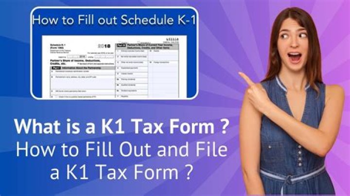 Does an LLC file a k1?