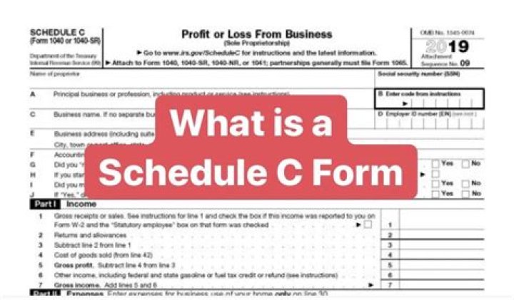 Does an LLC partnership file a Schedule C?