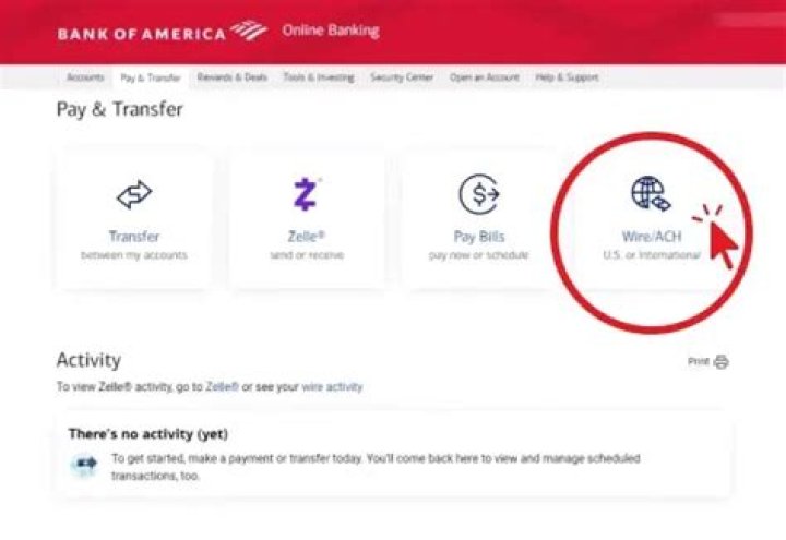 Does Bank of America allow instant transfer?