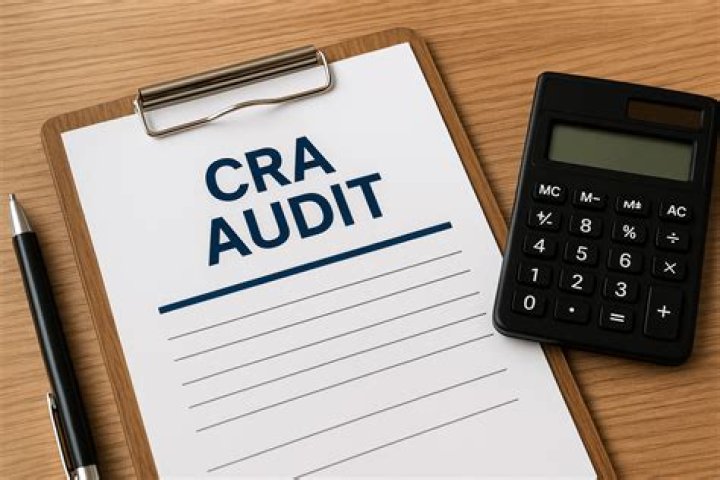 Does CRA audit charities?