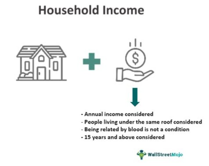 Does household income include your parents?