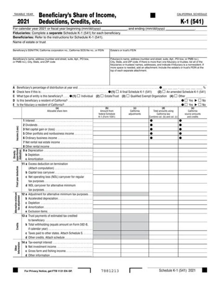Does IRS receive k1?