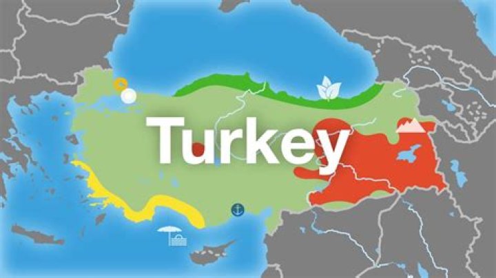 Does Turkey have a tax treaty with the US?