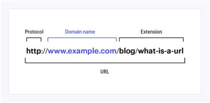 How do I find all the links for a URL?