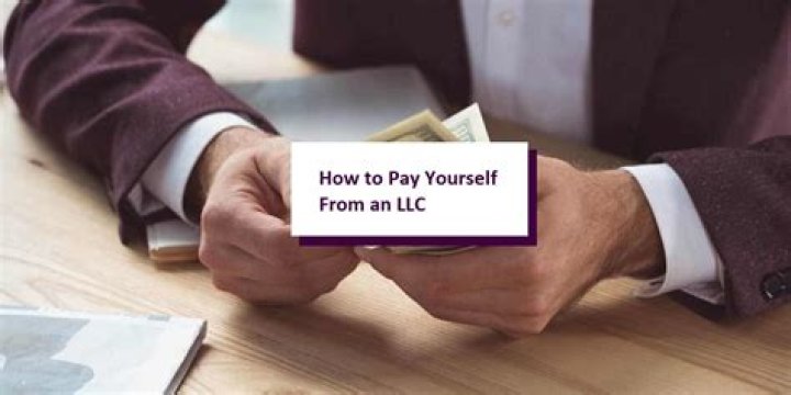 How do I pay myself in a single member LLC?