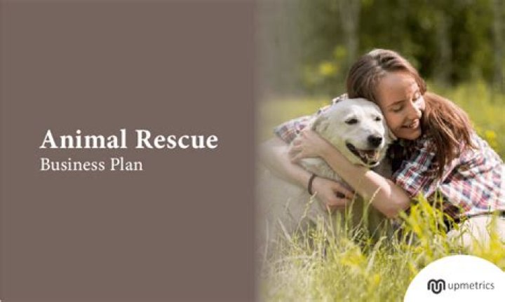 How do I start an animal rescue business?