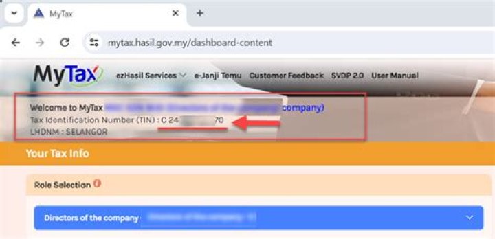 How do I verify a company tin?