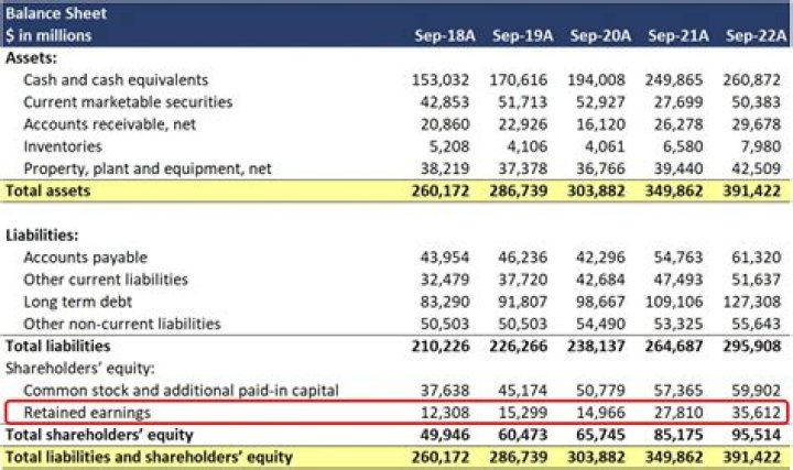 How do S corporations report dividend income that they receive?