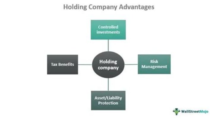 How do taxes work with holding companies?