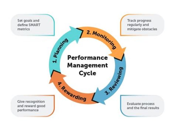 How do you assess performance in organization?