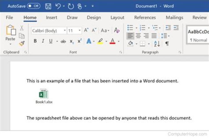 How do you attach a File to a Word document?