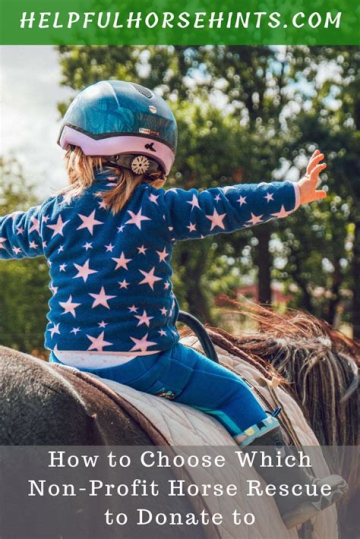 How do you become a non profit horse rescue?