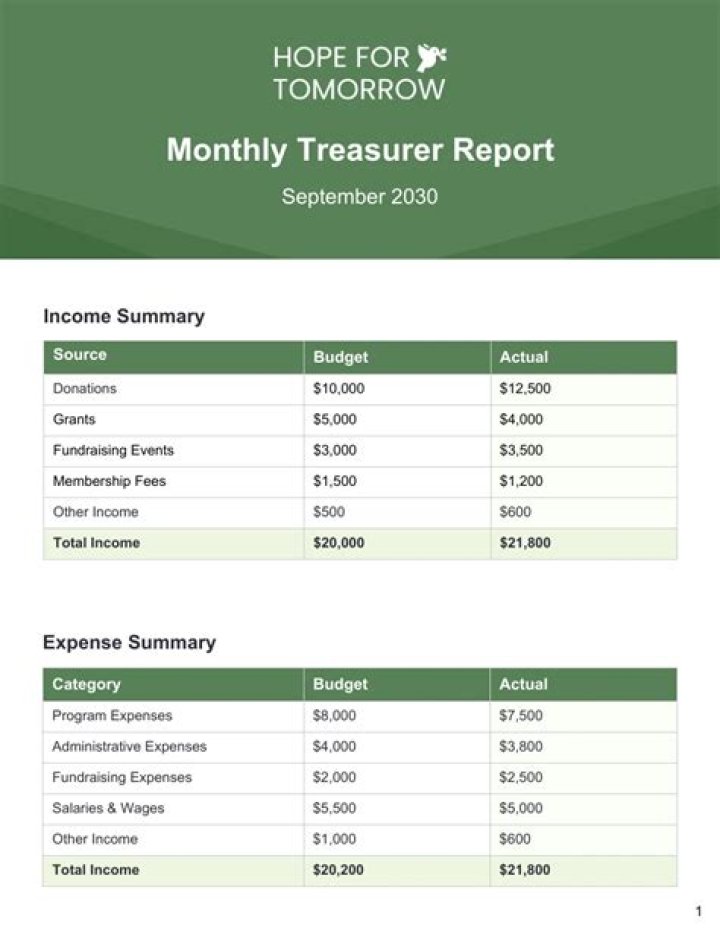 How do you become a treasurer for a non profit?