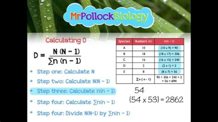 How do you calculate SDI tax?