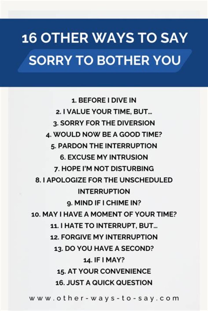 How do you say sorry to bother you again?