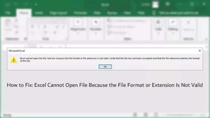 How do you solve Excel Cannot open the file because the file format or file extension is not valid?