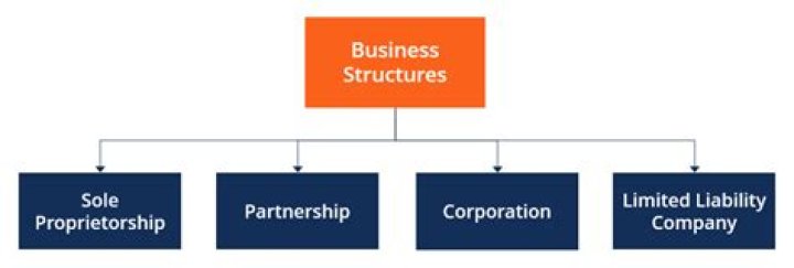 How do you structure a new business?