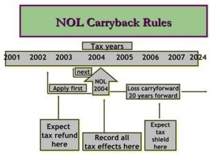 How do you vote for forego NOL carryback?