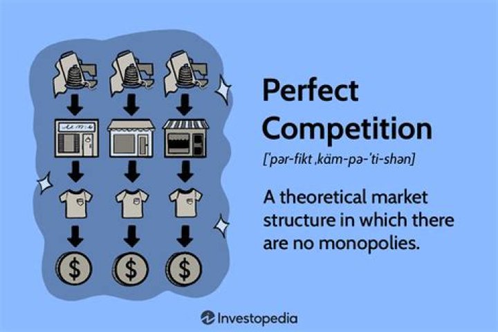 How does perfect competition affect consumers?