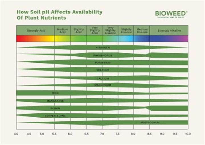 How does pH affect plant growth?