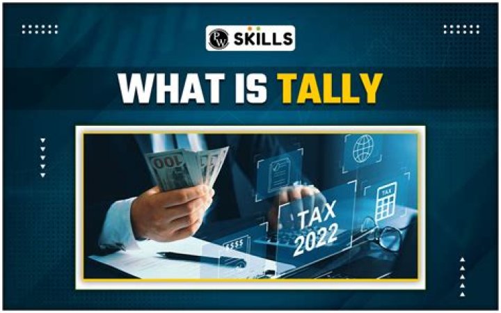 How does Tally work in business?